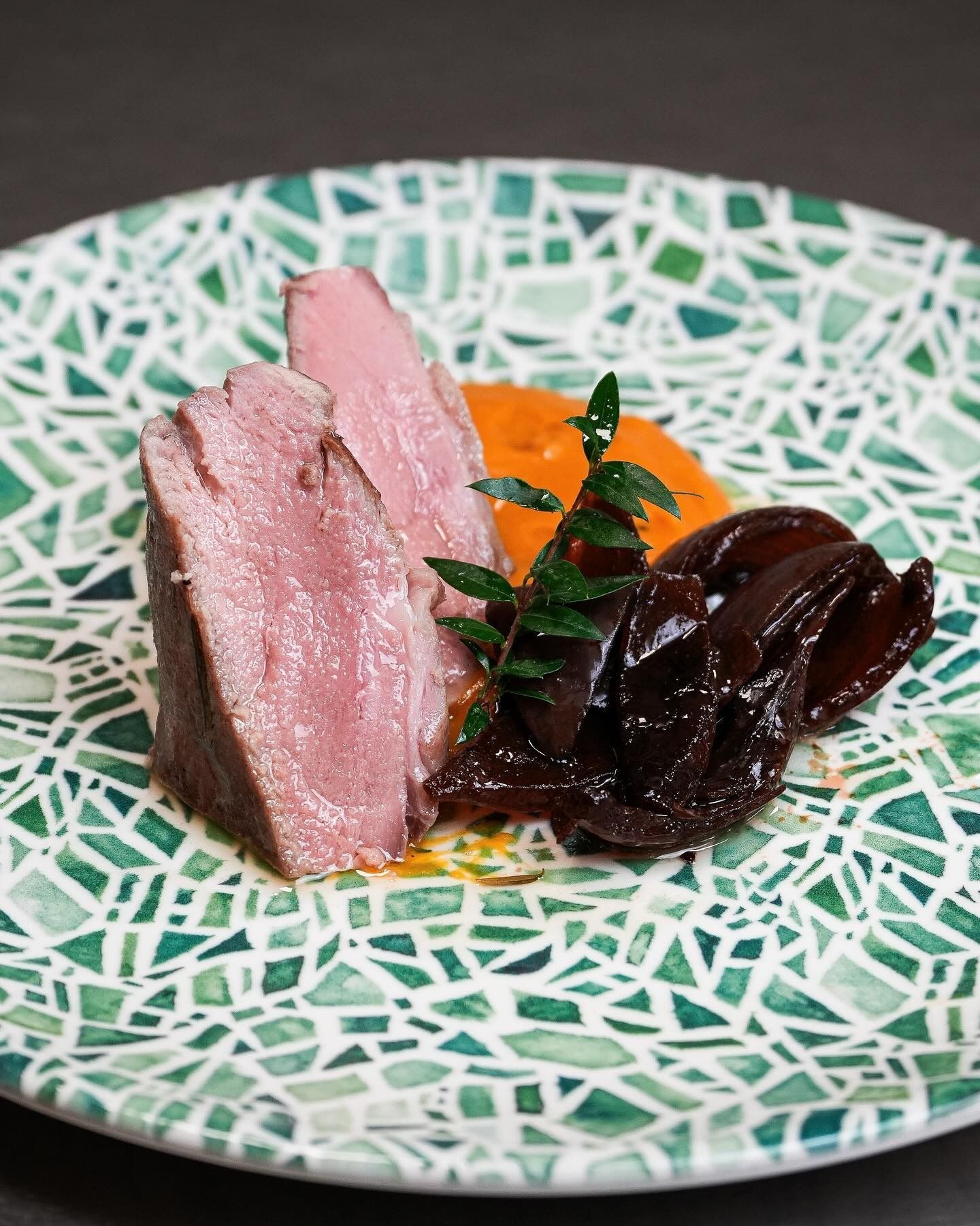 Carne rosa a fette con salsa scura e guarnizione di carote su un piatto verde decorato.