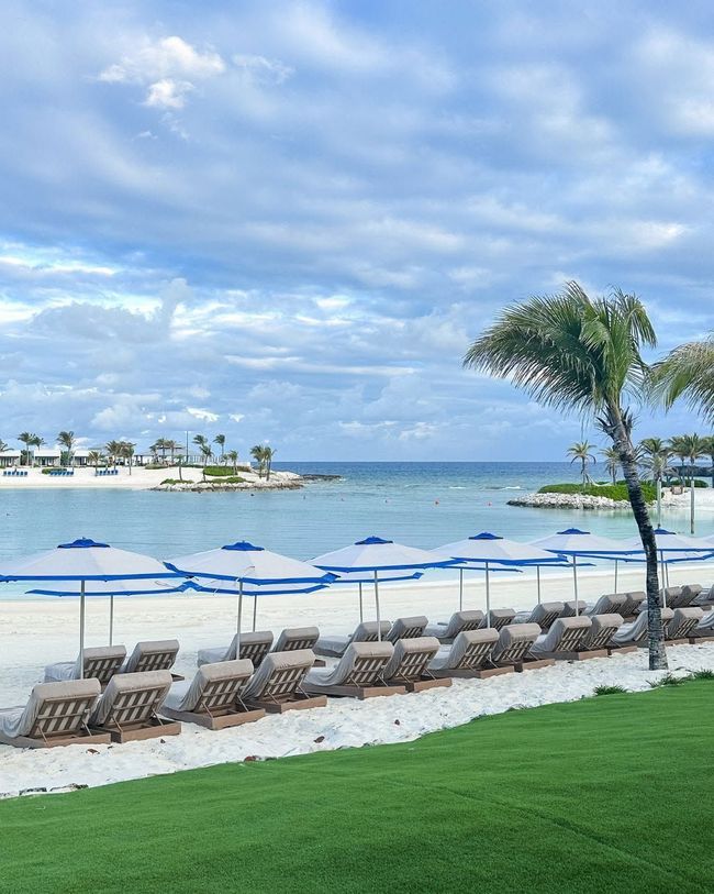 Beach with blue umbrellas, lounge chairs, palm trees, and calm ocean under a cloudy sky