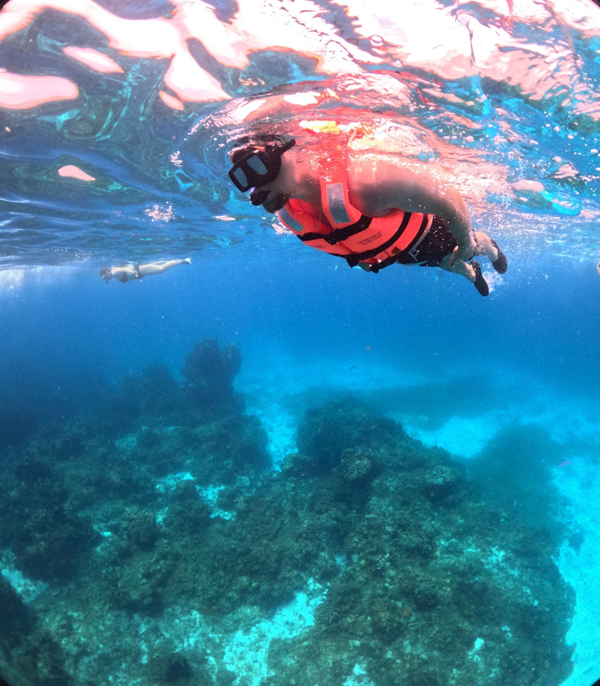 Snorkeler in red vest floating above a turquoise coral reef in clear blue water