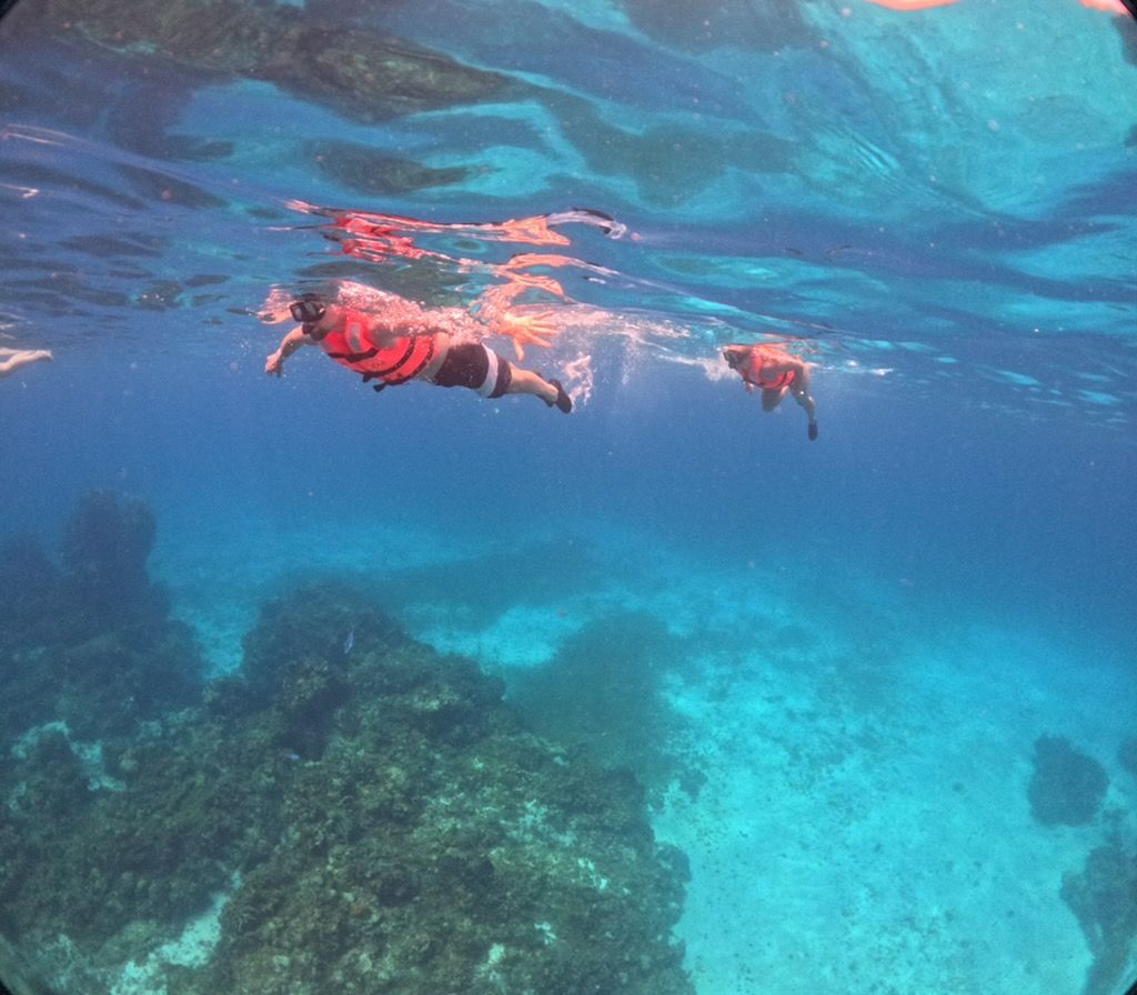 Two snorkelers swim above a turquoise coral reef under clear blue water.