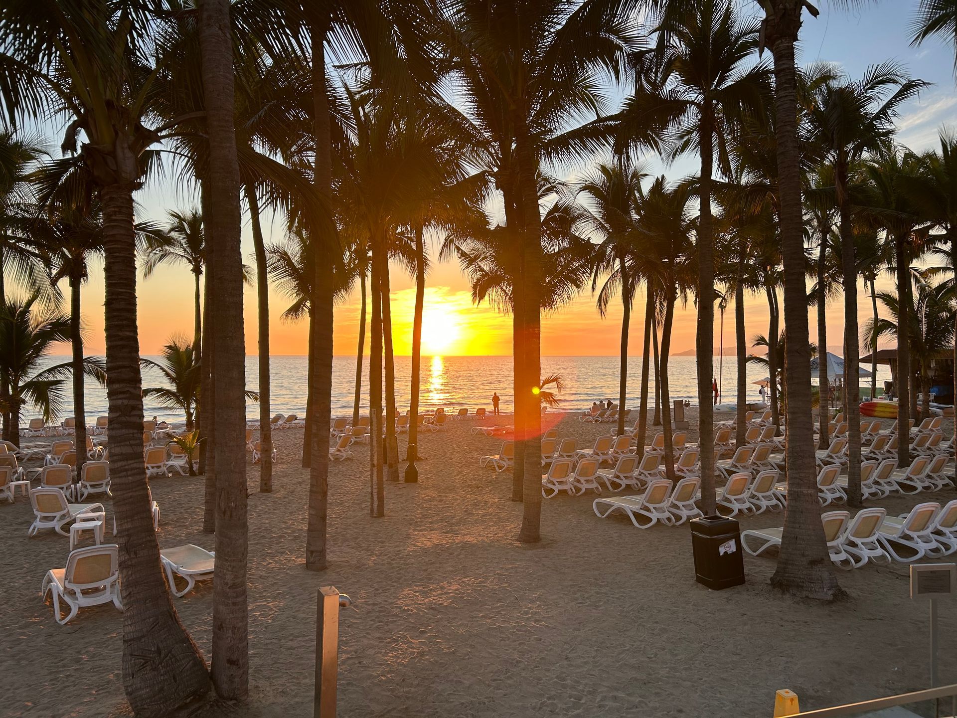 Sunset through palm trees over a beach lined with white lounge chairs and umbrellas