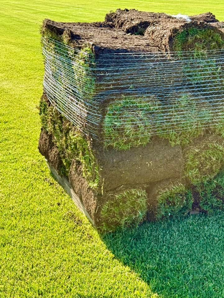 A Square Pallet of Rolled Green Grass Turf Sits on A Freshly Mown Lawn — Edmonds Turf in Louth Park, NSW