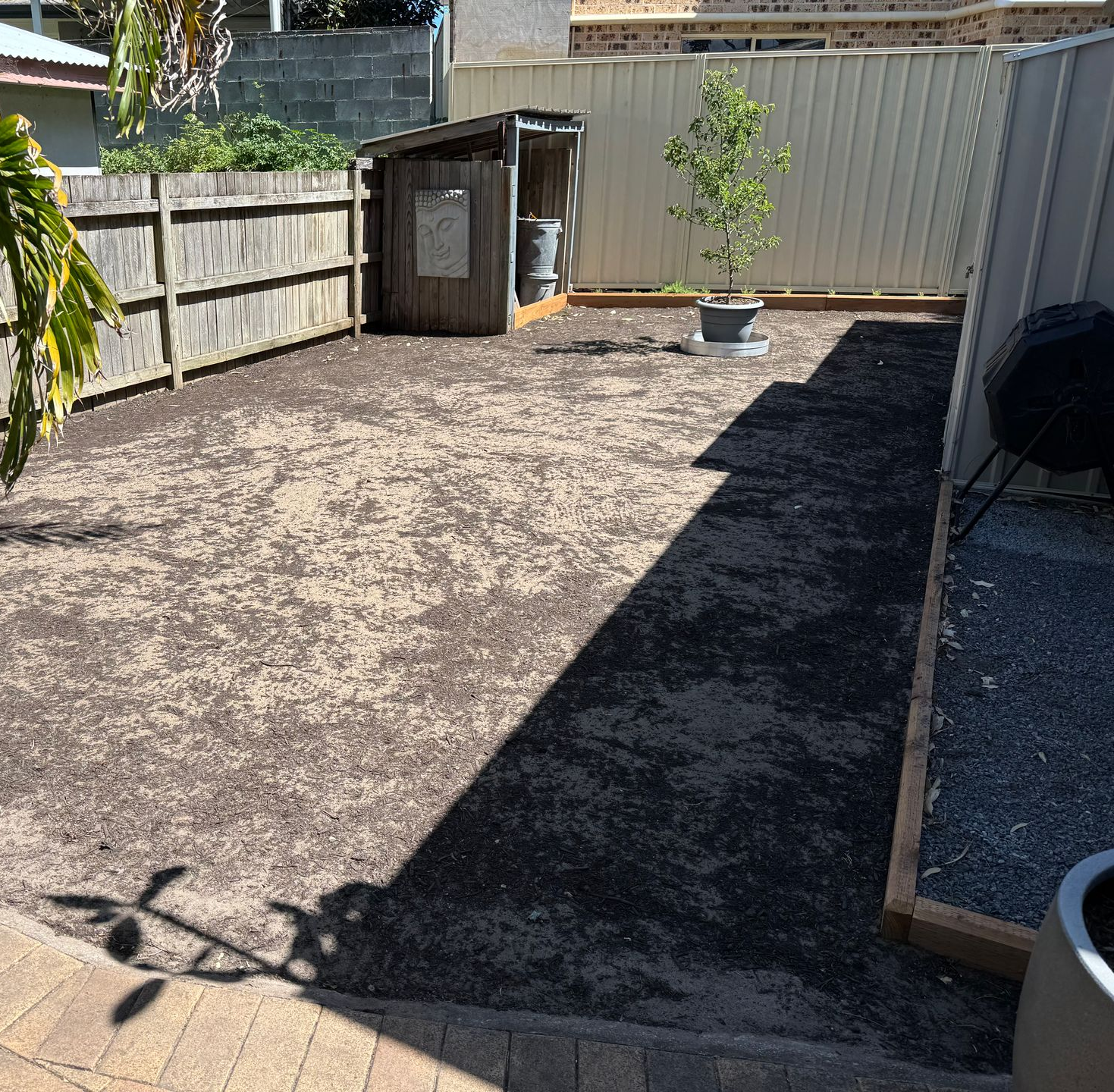 Backyard With Dry Patchy Lawn, Wooden Fence, Shed and Potted Plant — Edmonds Turf in Louth Park, NSW