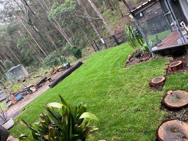 Tilted backyard with green lawn, tree stump seats, and a wood deck — Edmonds Turf in Louth Park, NSW