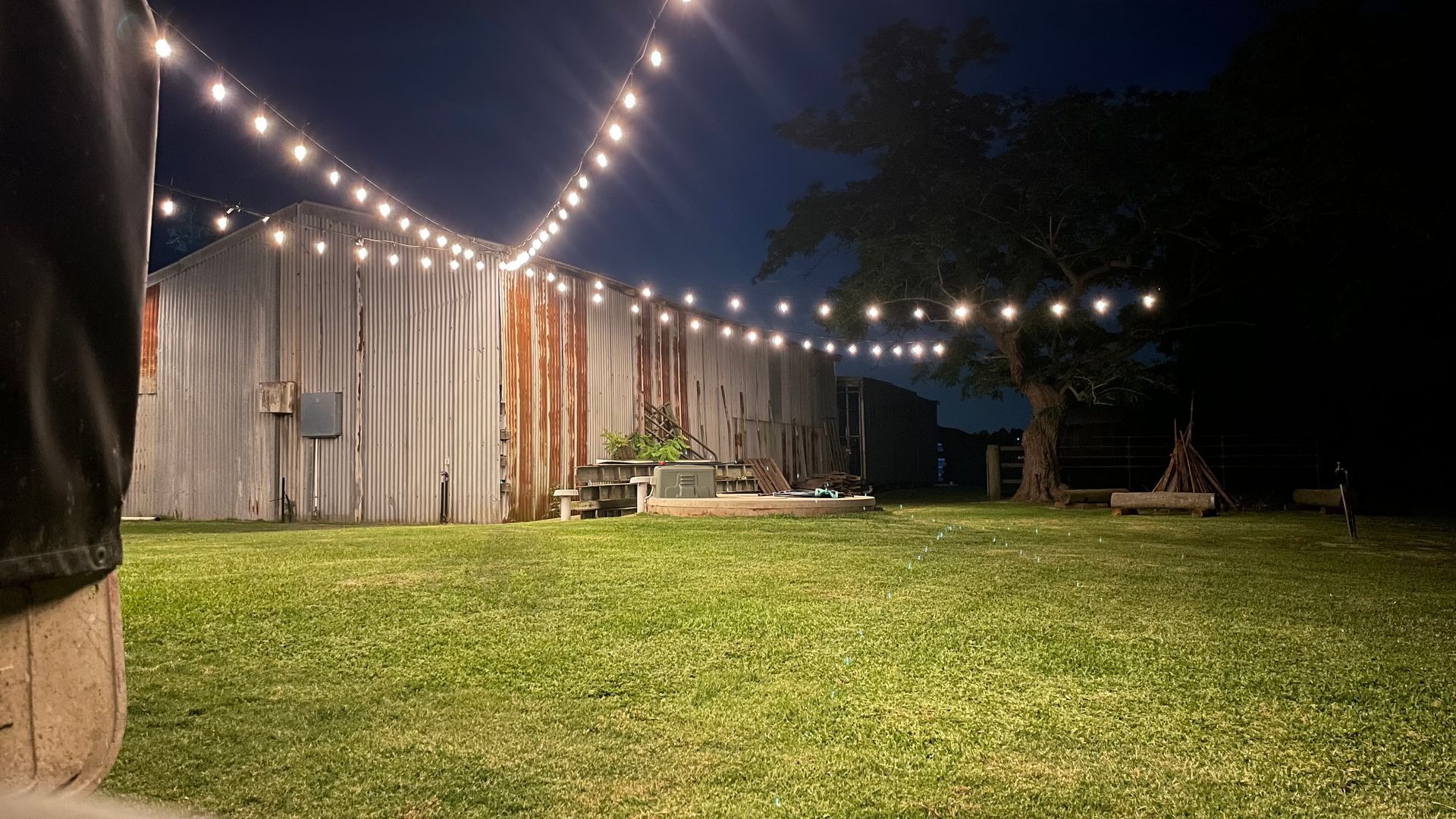 String lights over a grassy yard beside a weathered metal shed — Edmonds Turf in Louth Park, NSW