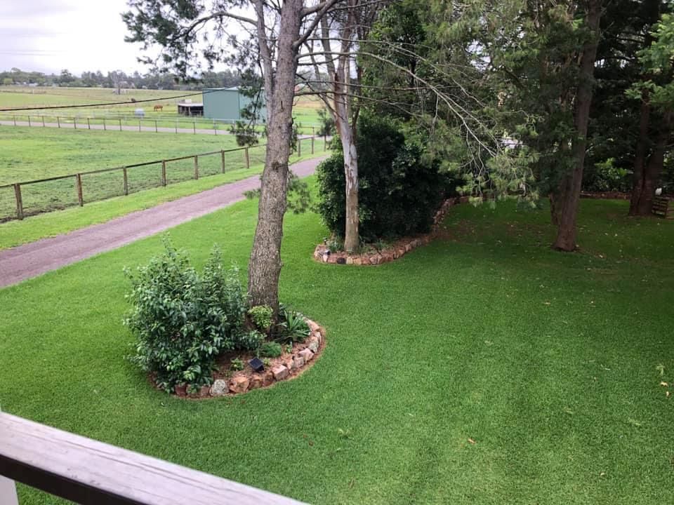 Lawn with trees and shrubs beside a fenced path and green pasture — Edmonds Turf in Louth Park, NSW