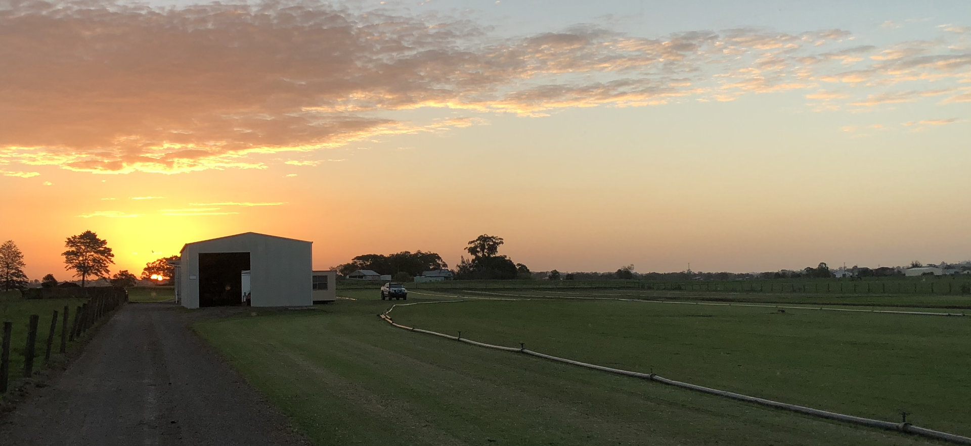 Sunset Over a Rural Field With a Small White Barn and Dirt Path — Edmonds Turf in Lochinvar, NSW