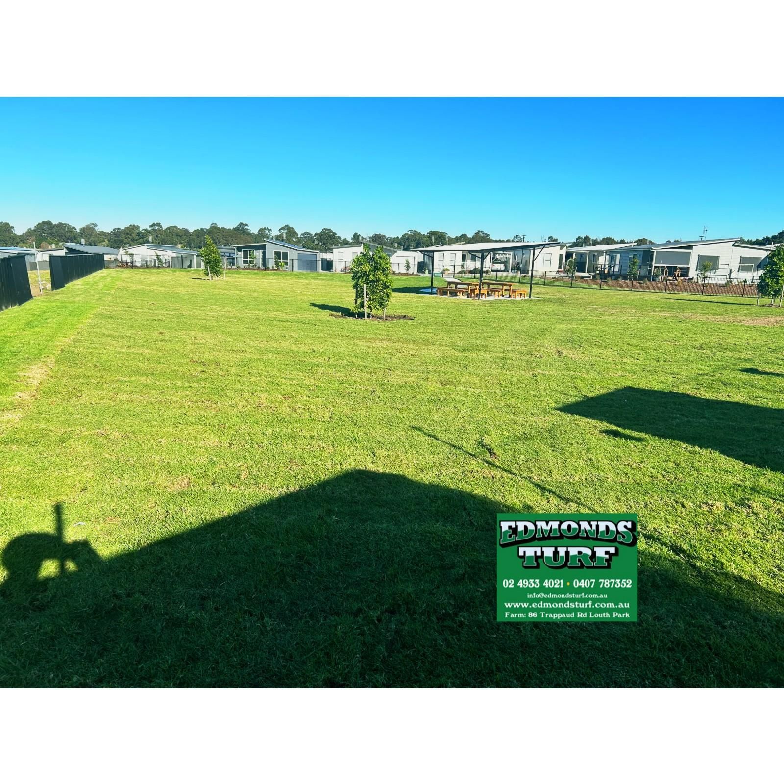 Grassy RV Park Lot Under Blue Sky — Edmonds Turf in Louth Park, NSW