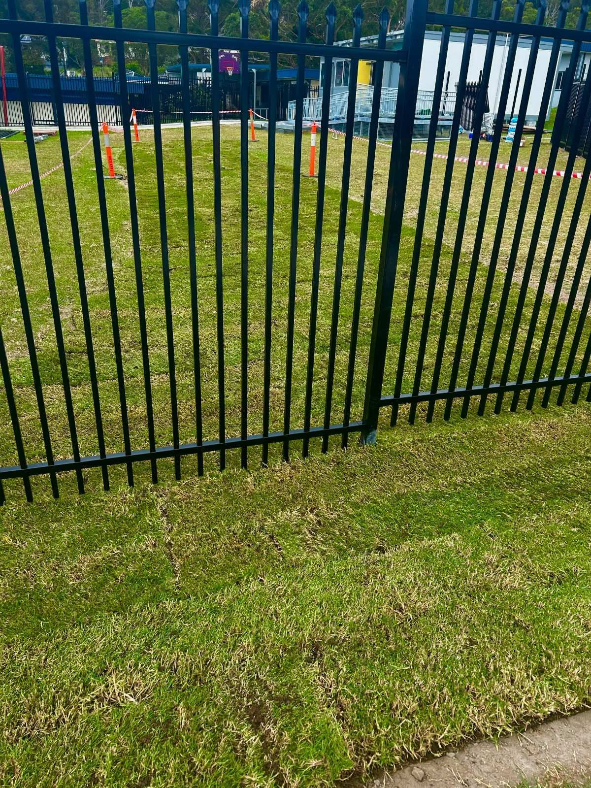 Black Metal Fence in Front of a Grassy Area — Edmonds Turf in Louth Park, NSW