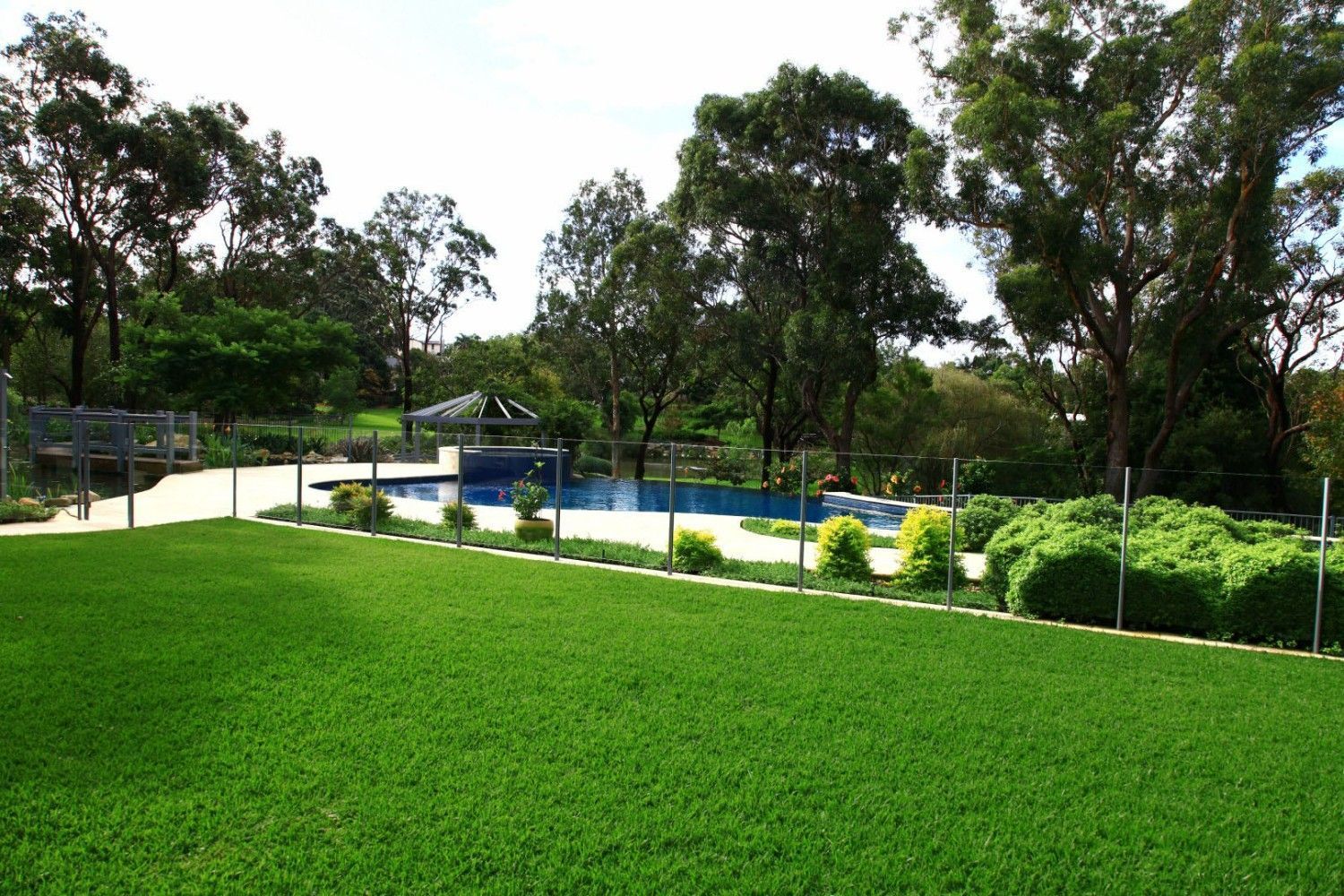 Lush Green Lawn Beside a Swimming Pool, With Trees — Edmonds Turf in Louth Park, NSW