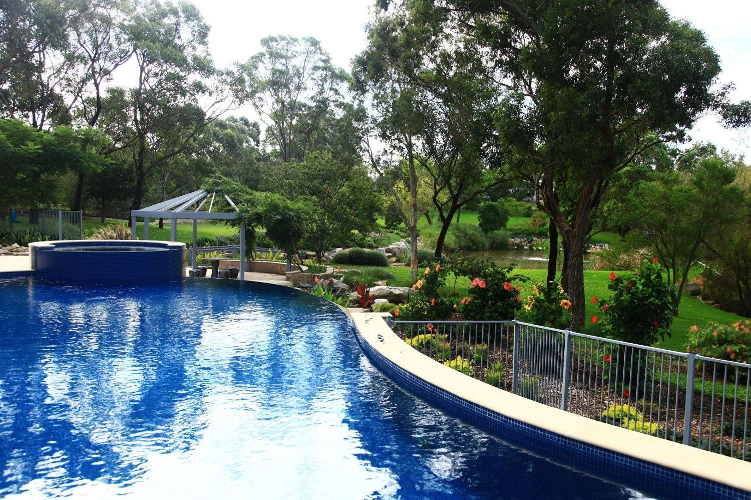 Curved Blue Swimming Pool Beside a Lush Green Garden — Edmonds Turf in Louth Park, NSW