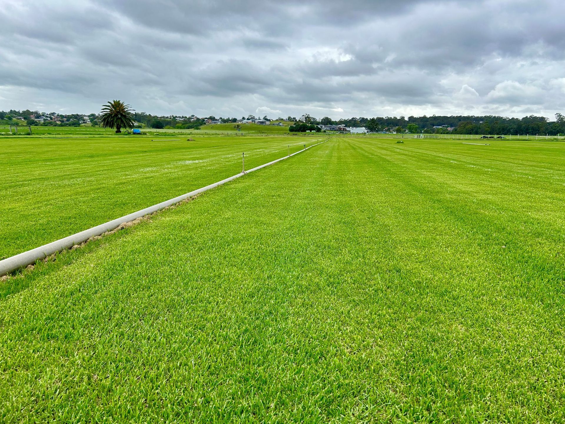 Expansive Green Field — Edmonds Turf in Louth Park, NSW