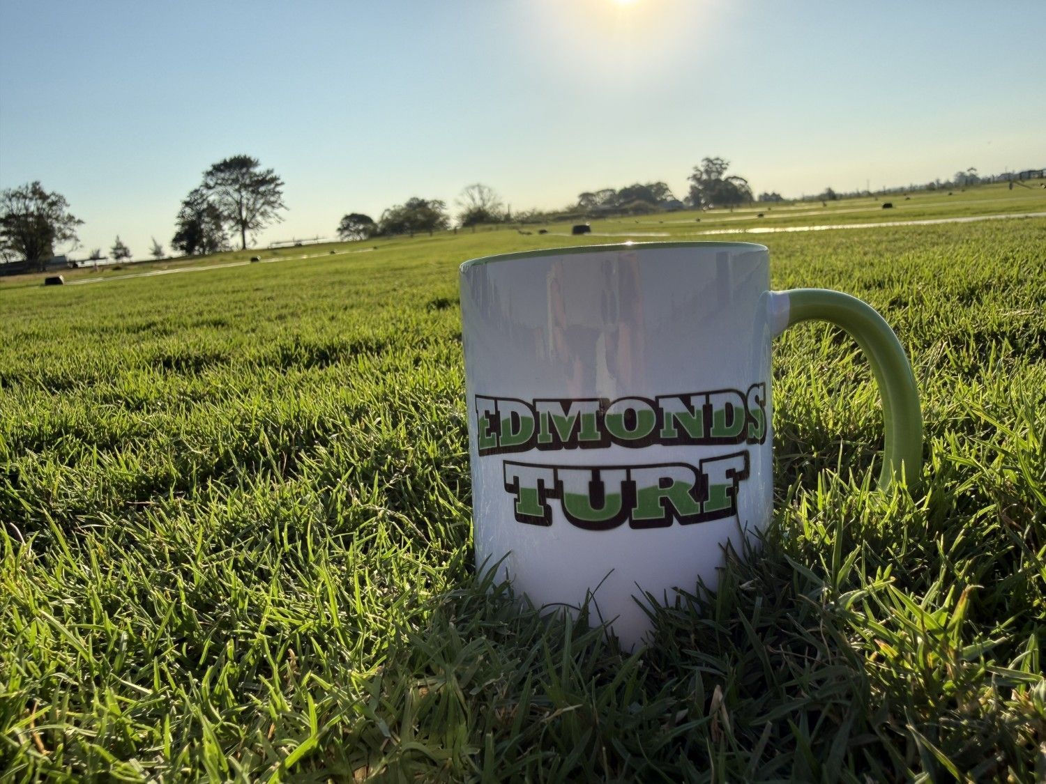White Mug Sitting in Green Grass — Edmonds Turf in Louth Park, NSW