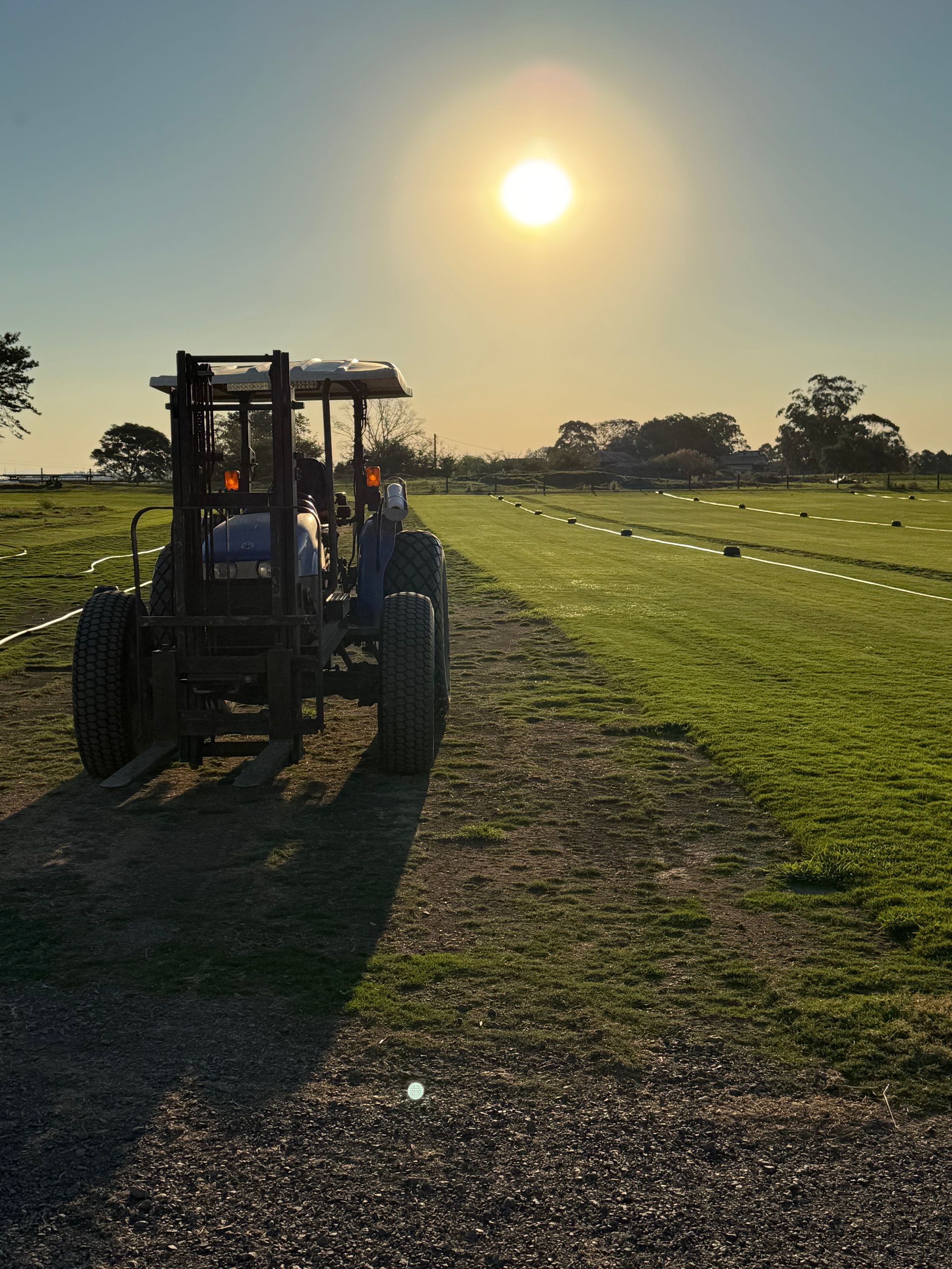 Tractor On a Grassy Field at Sunset — Edmonds Turf in Cessnock, NSW