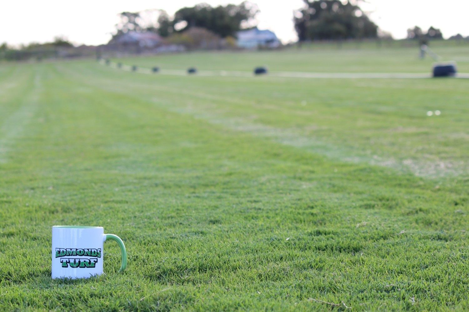 White Mug on Green Grass in a Sports Field With Trees — Edmonds Turf in Louth Park, NSW