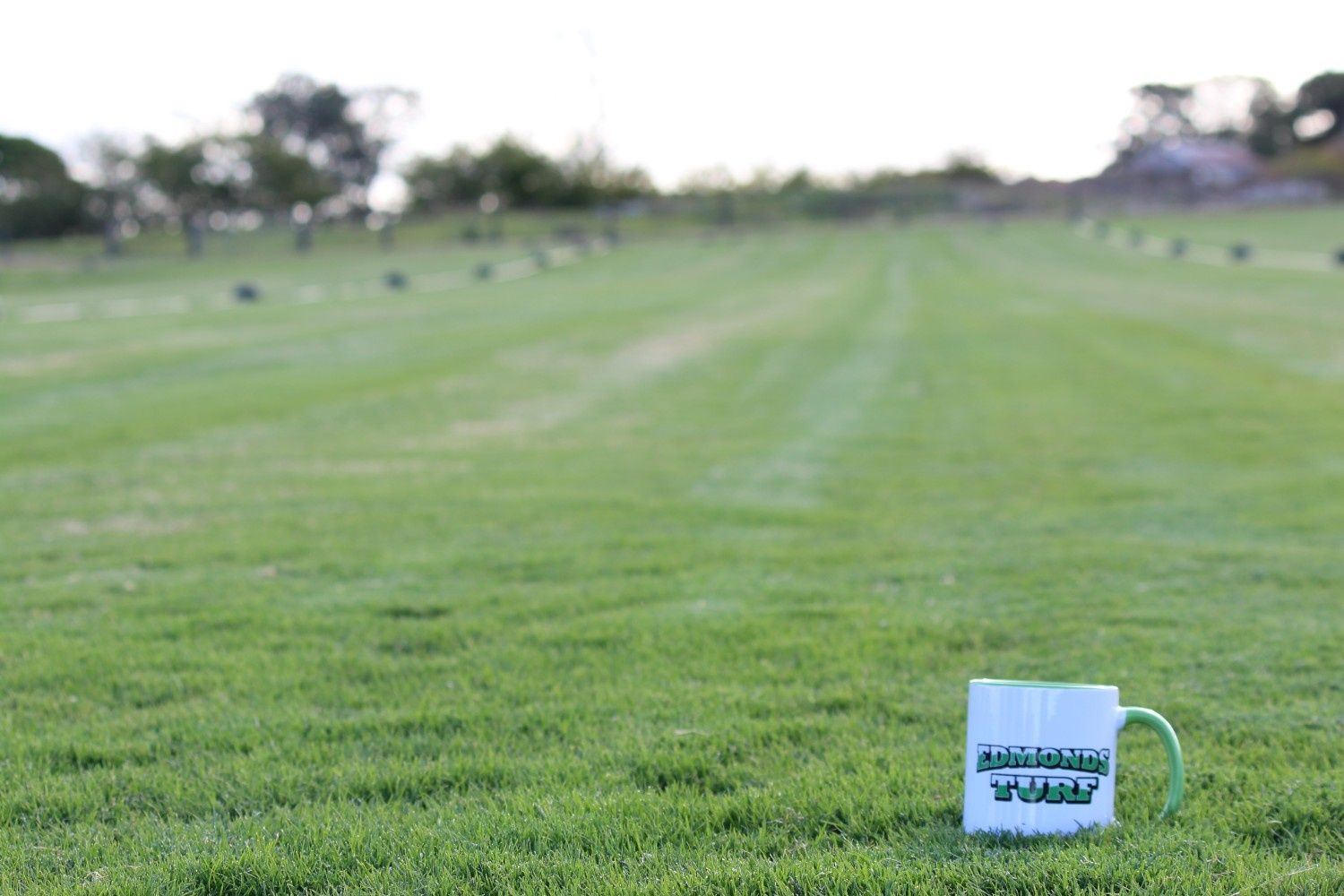 A White Mug Sits on a Green Lawn — Edmonds Turf in Louth Park, NSW