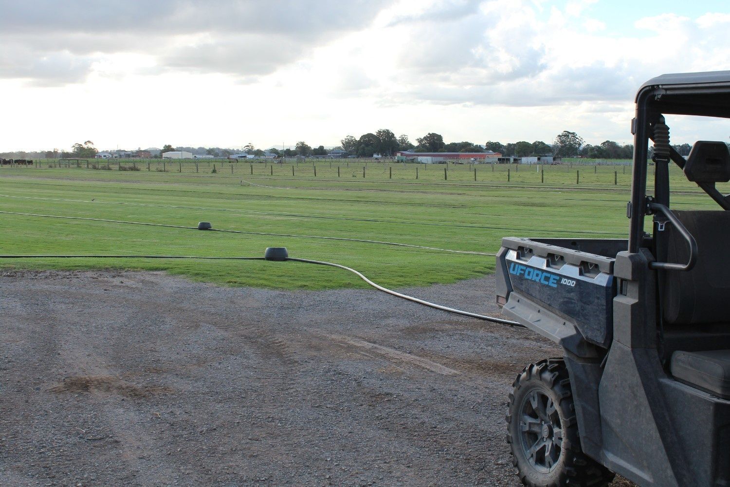 A Grassy Field Beside a Gravel Path — Edmonds Turf in Louth Park, NSW