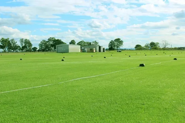 Wide Grassy Sports Field — Edmonds Turf in Louth Park, NSW