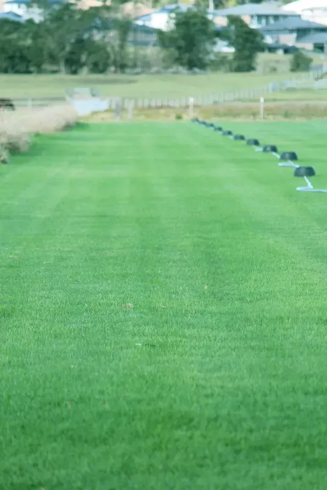 Green Grassy Field — Edmonds Turf in Louth Park, NSW