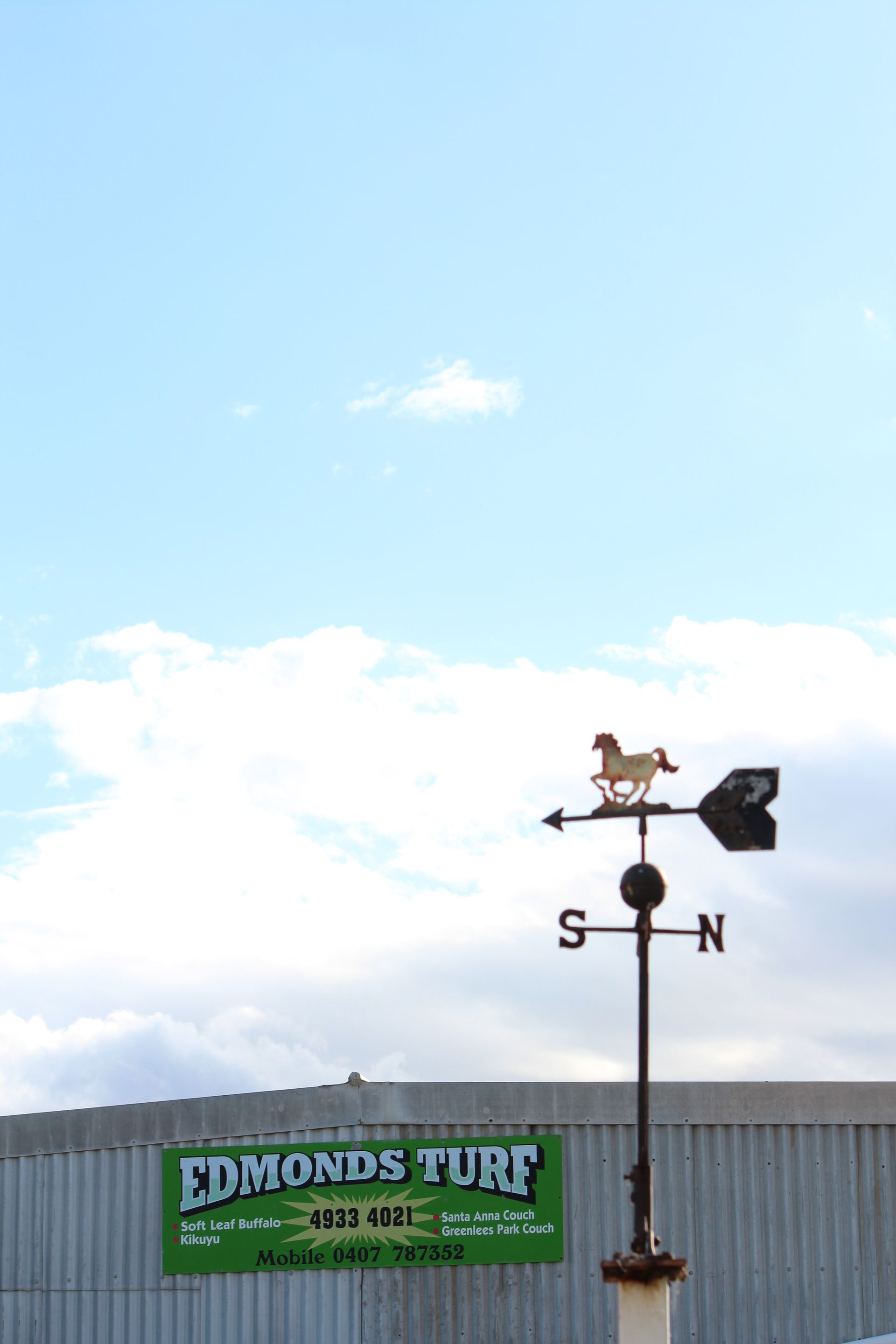 Weather vane atop a building against a bright blue sky, with a green Edison Turf sign below.