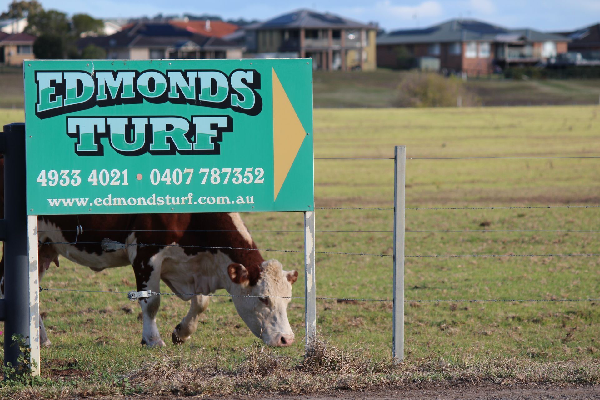 Green Roadside Sign in a Cloudy Rural Field — Edmonds Turf in Gillieston Heights, NSW
