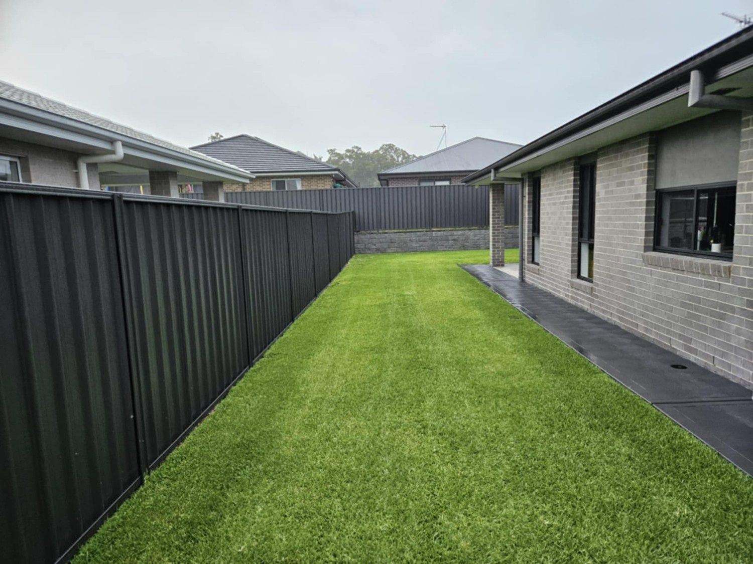 Narrow Grassy Side Yard Between Two Houses — Edmonds Turf in Louth Park, NSW