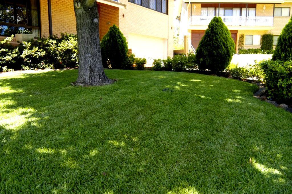 Sunny Apartment Courtyard — Edmonds Turf in Newcastle, NSW