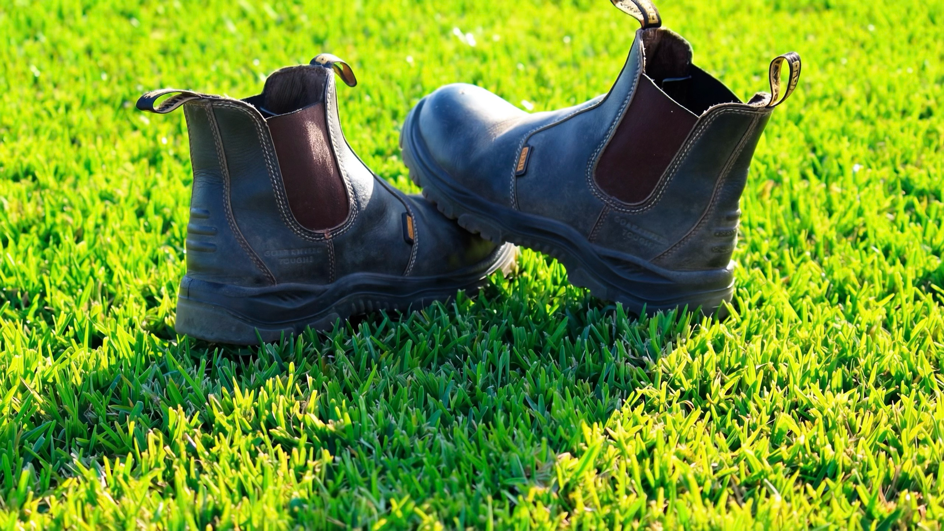 Pair of black boots sitting on bright green grass in sunlight