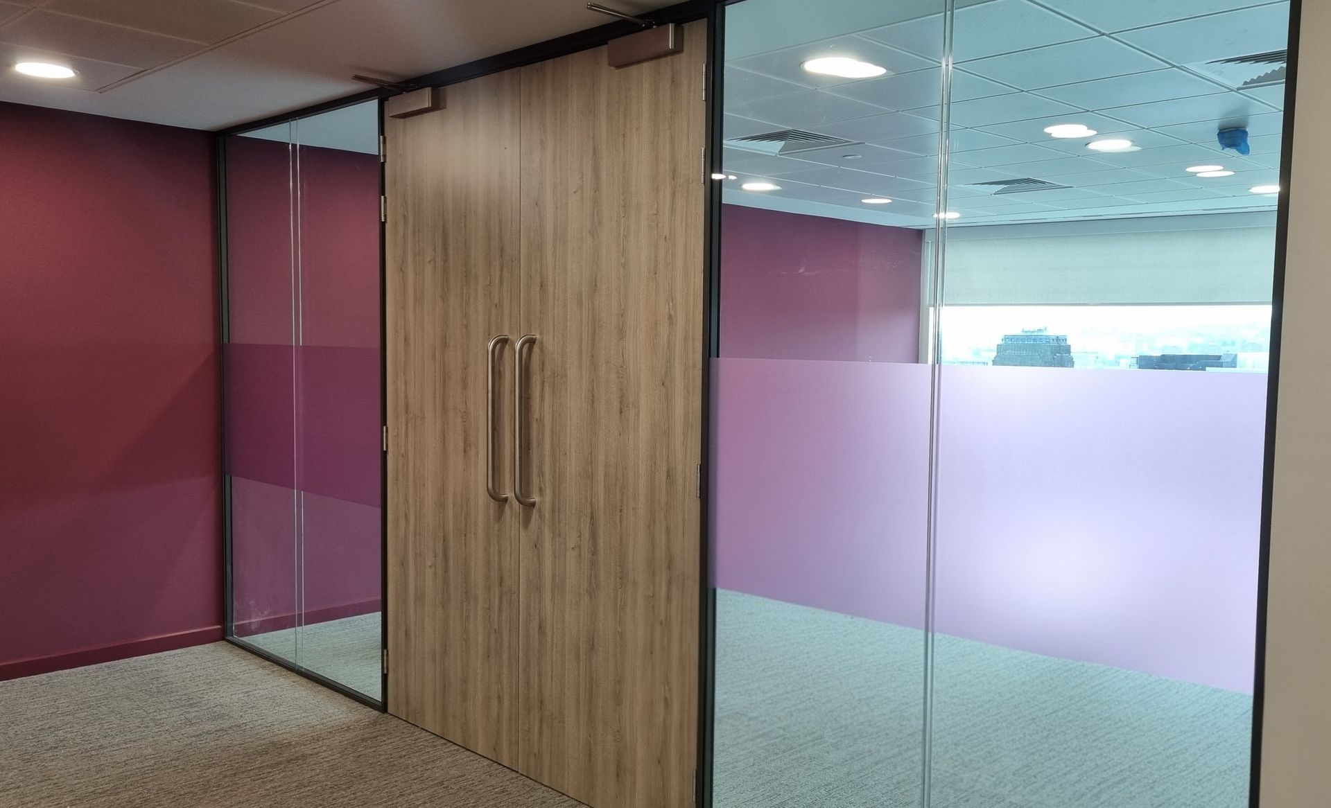 Double-Glazed Office Glass Partition with Timber Doors in Newcastle city Ce