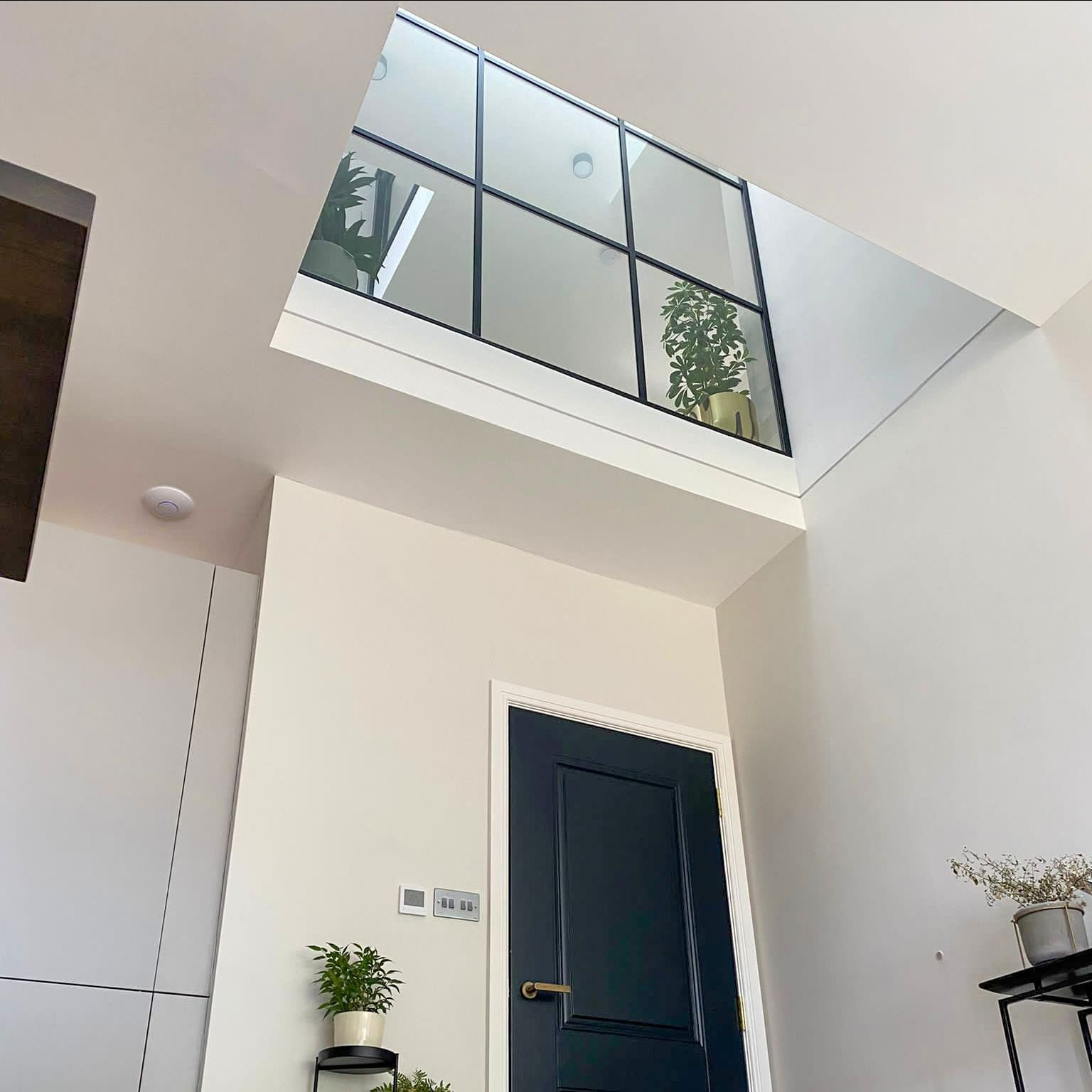 Interior with a dark blue door, high window with black grid, and small potted plants.