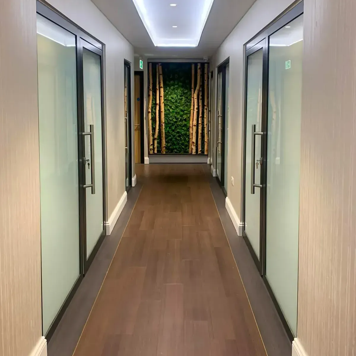 Hallway with glass-door rooms, wooden floor, and a green wall decoration at the end.