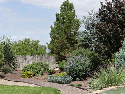 Xeriscape artificial grass