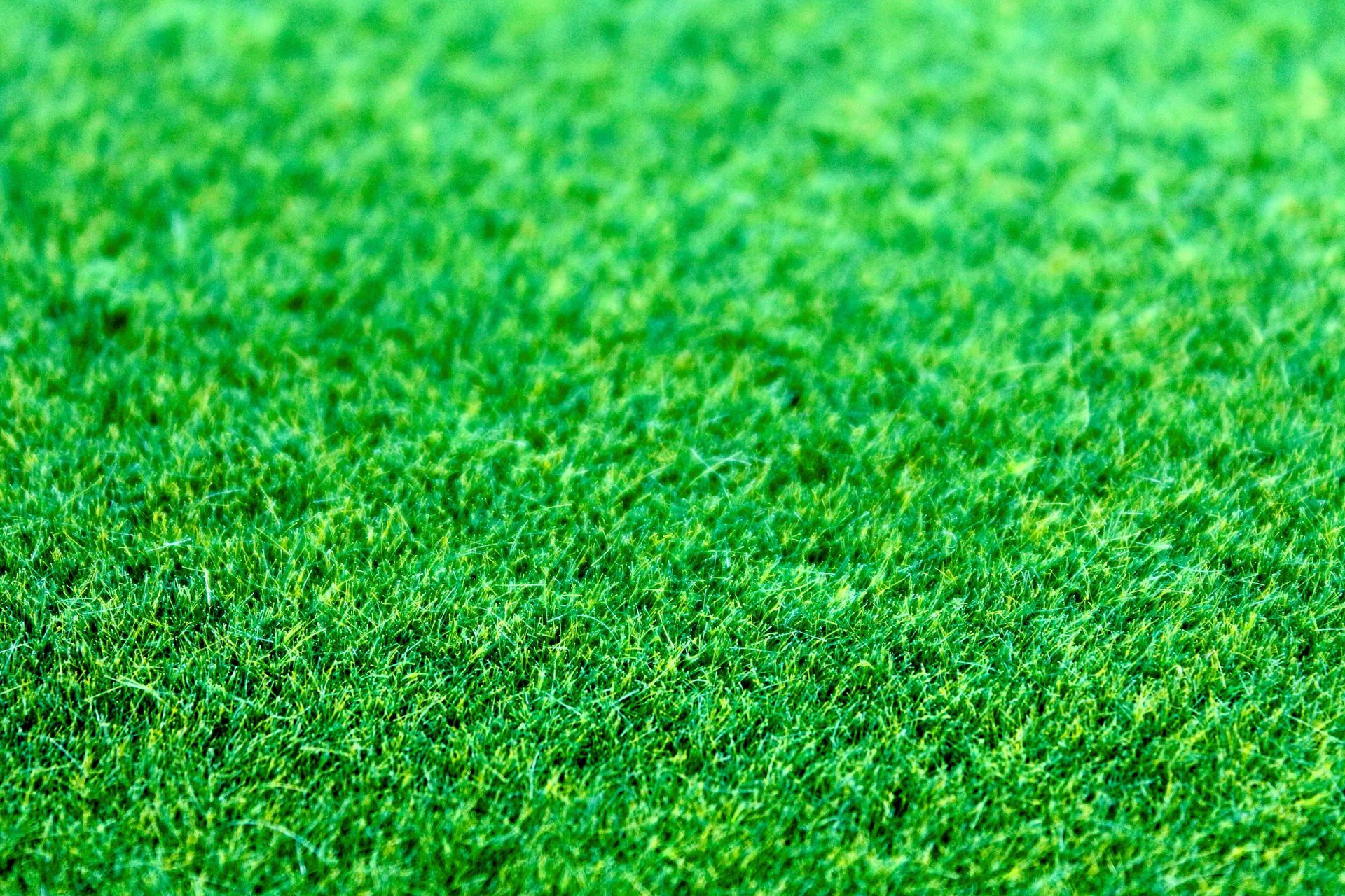 Eco-focused artificial grass