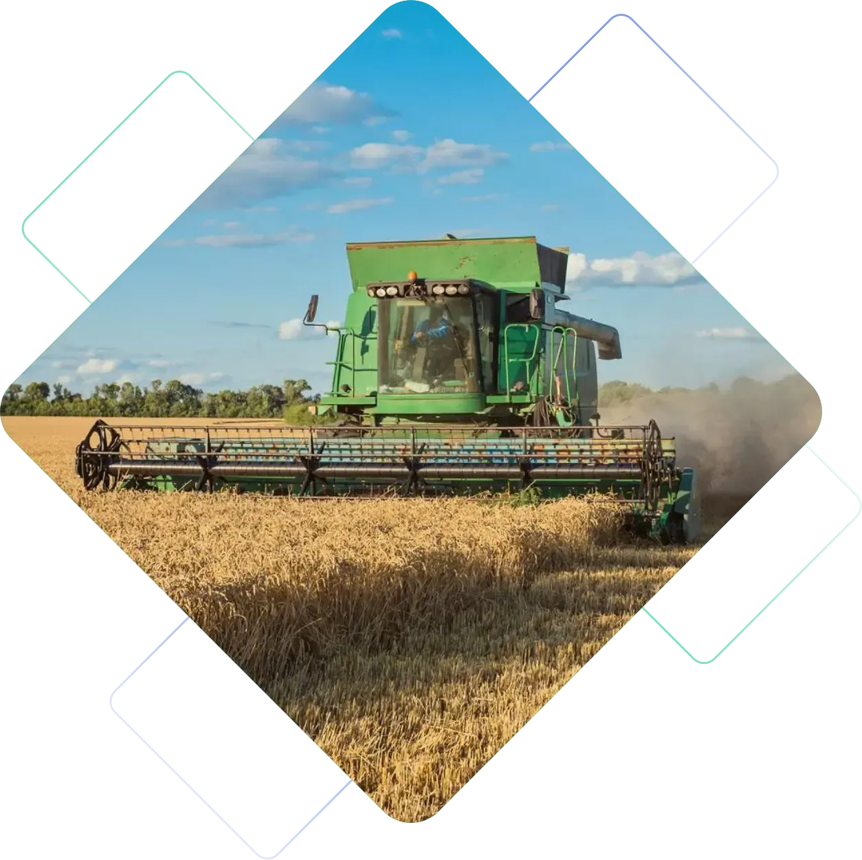 Colheitadeira verde cortando um campo de trigo dourado sob um céu azul.