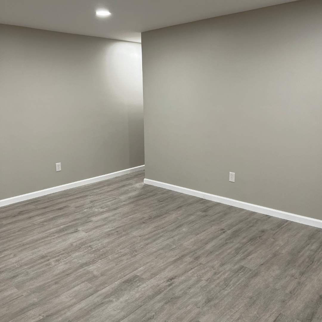 Basement Remodel