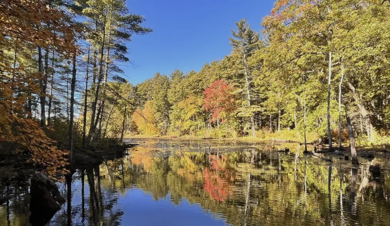Great Brook Farm State Park, Carlisle, MA
