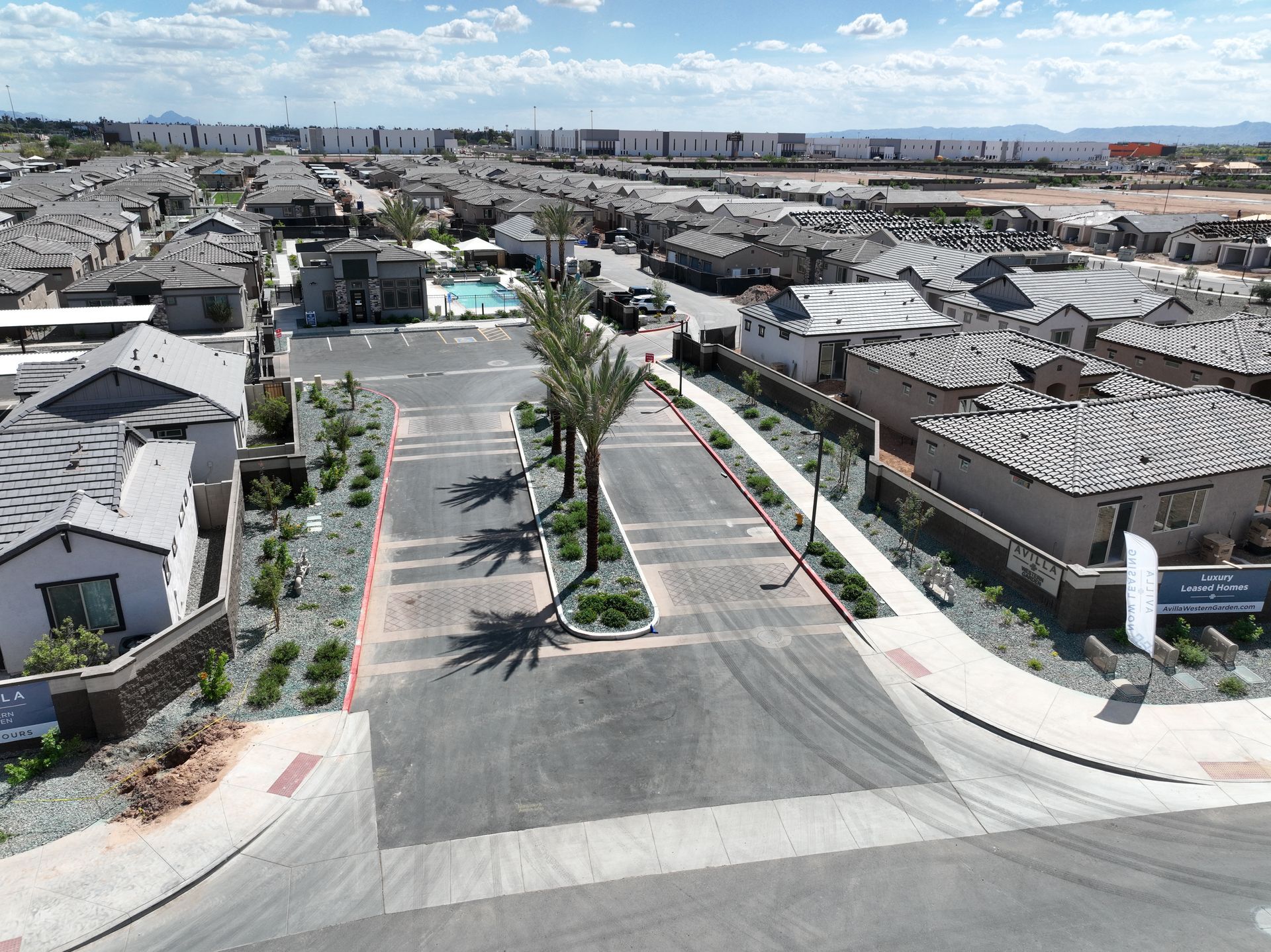 Wide residential street with new houses and palm trees on a sunny day