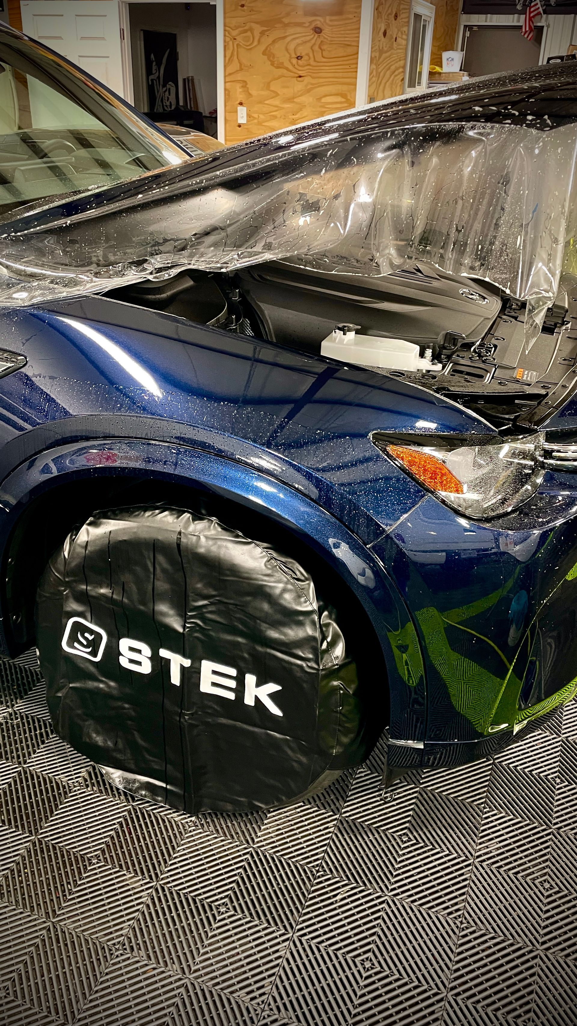 paint protection