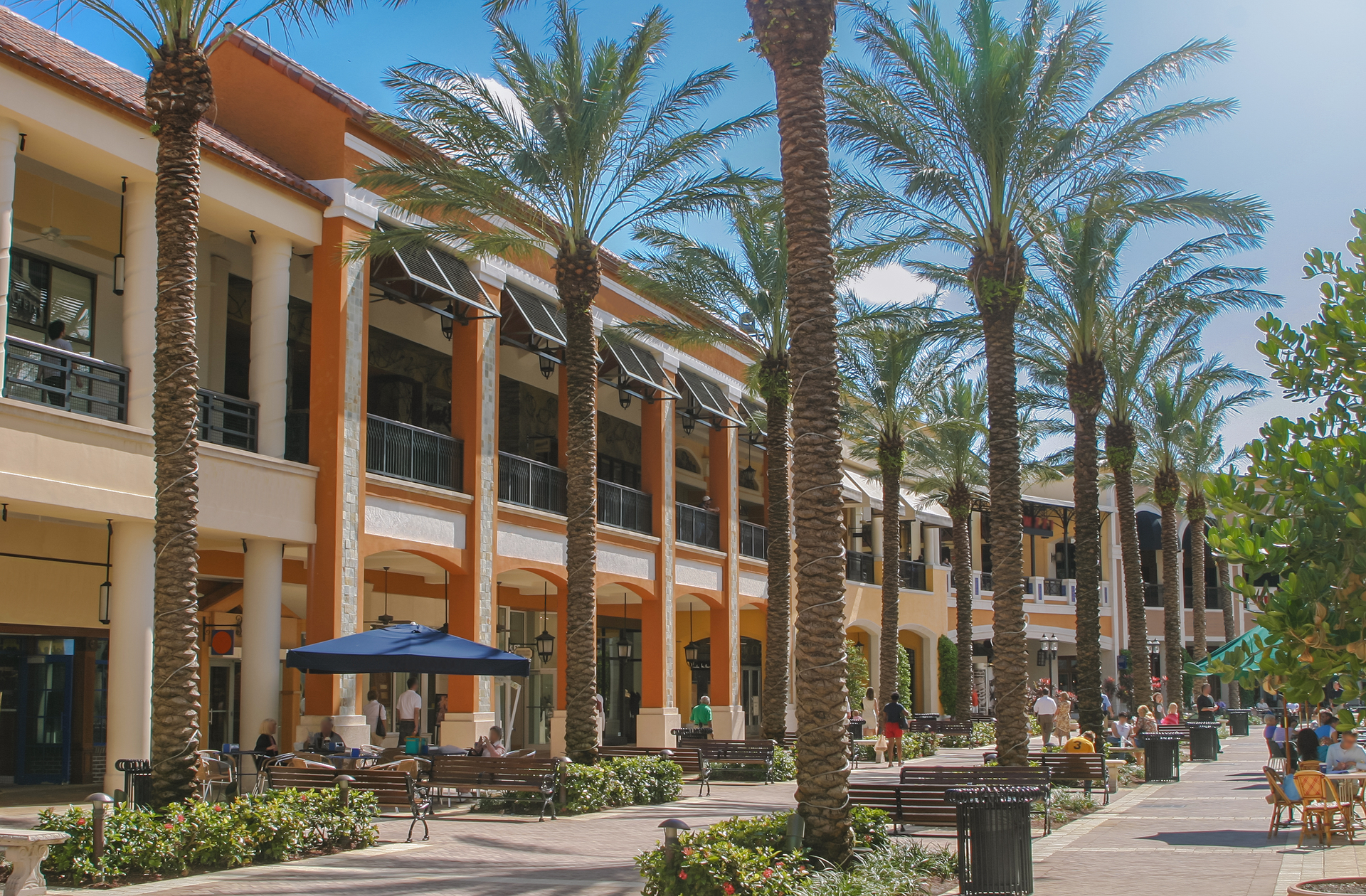 A row of palm trees in front of a building