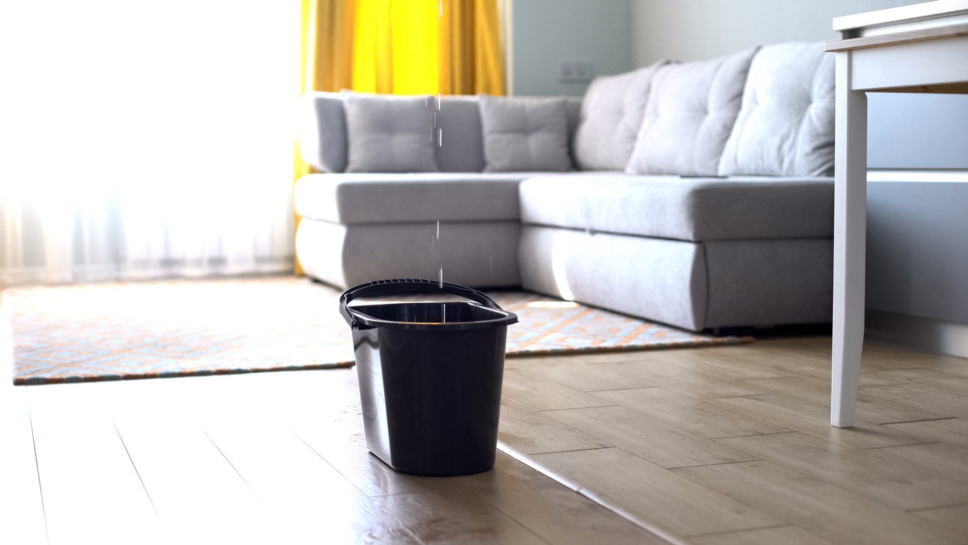 Water Leaking from Ceiling — Sydney, NSW — Flush ‘N’ Go Plumbing