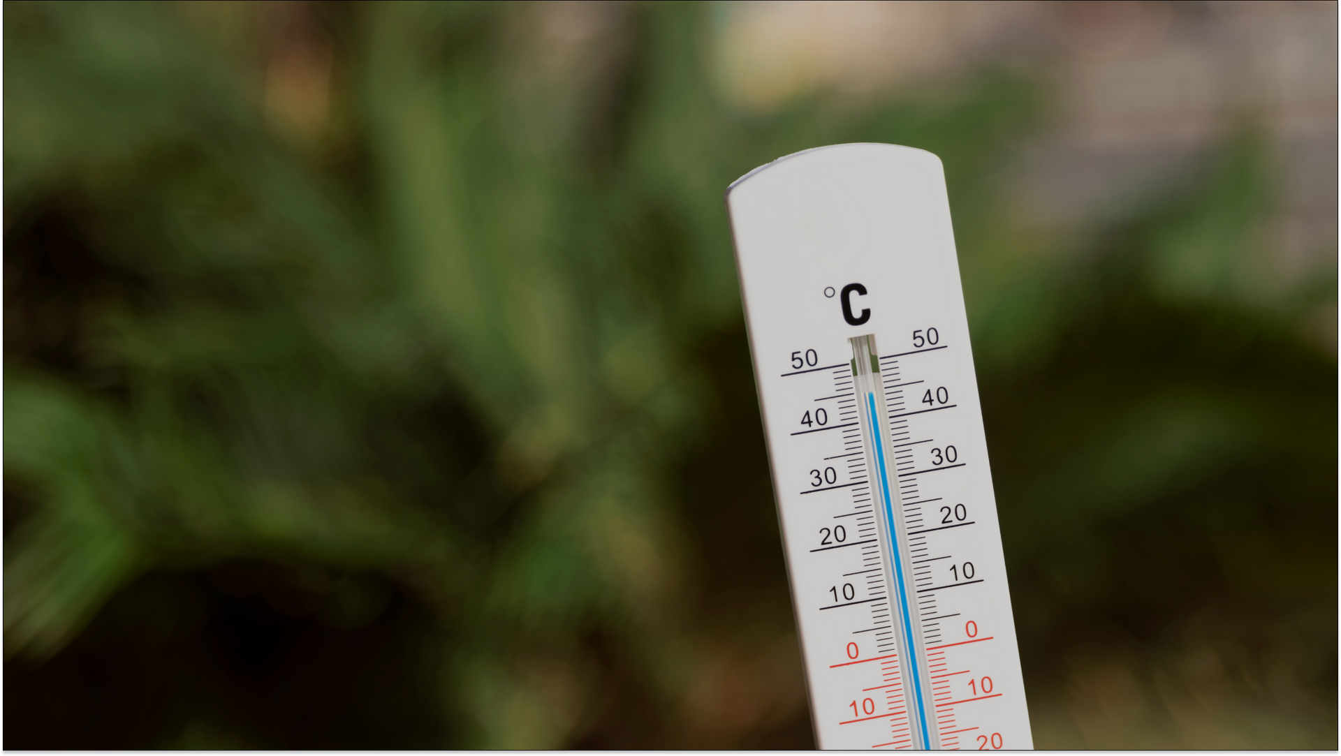 thermometer outdoors with plants behind