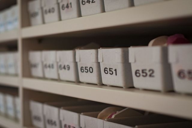 Labeled business inventory boxes organized on storage shelves