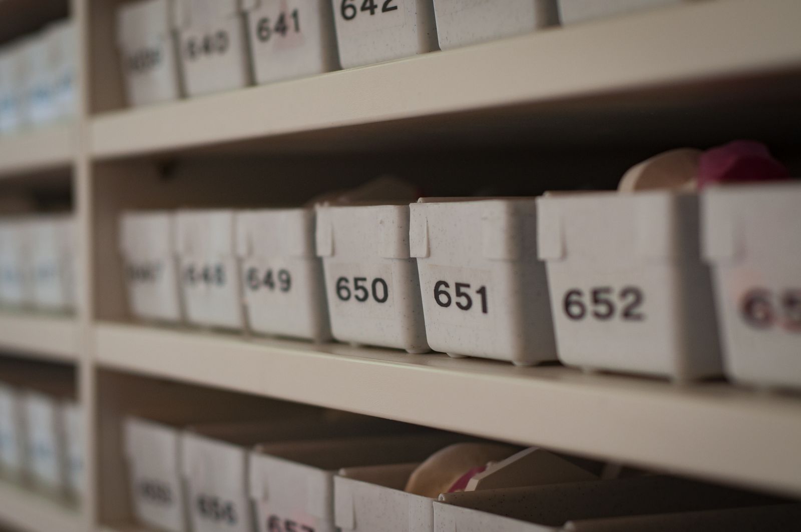 Labeled storage boxes lined up on shelves
