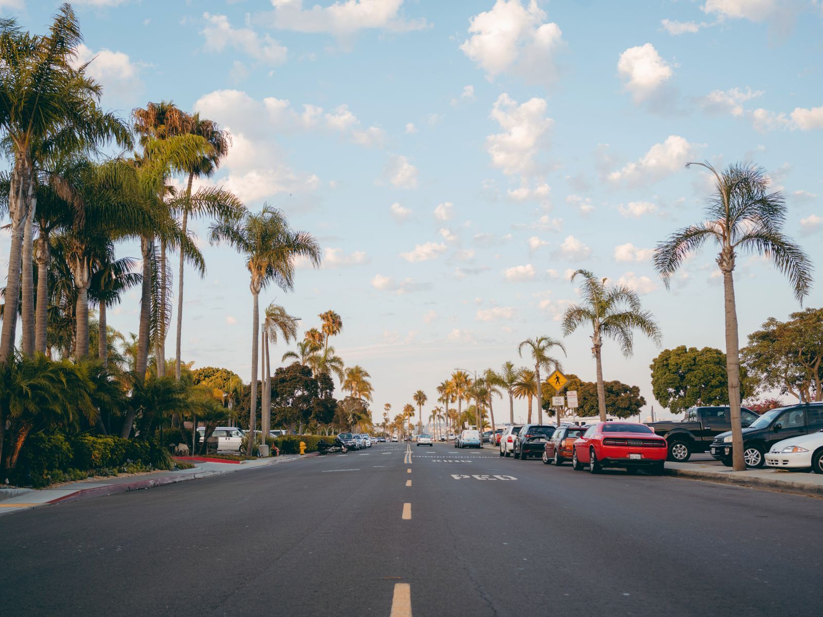 Sunny palm-lined street in Southern California