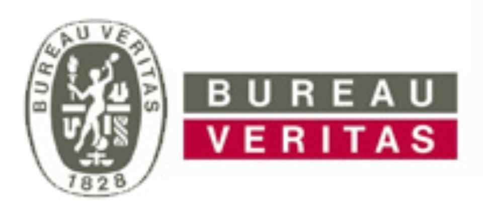 Bureau Veritas - Icon