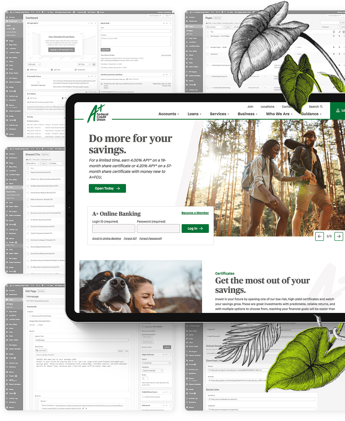 #1 digital marketing company