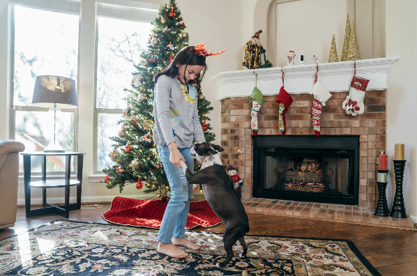 Woman in a Santa hat playing with a dog by a Christmas tree and fireplace.