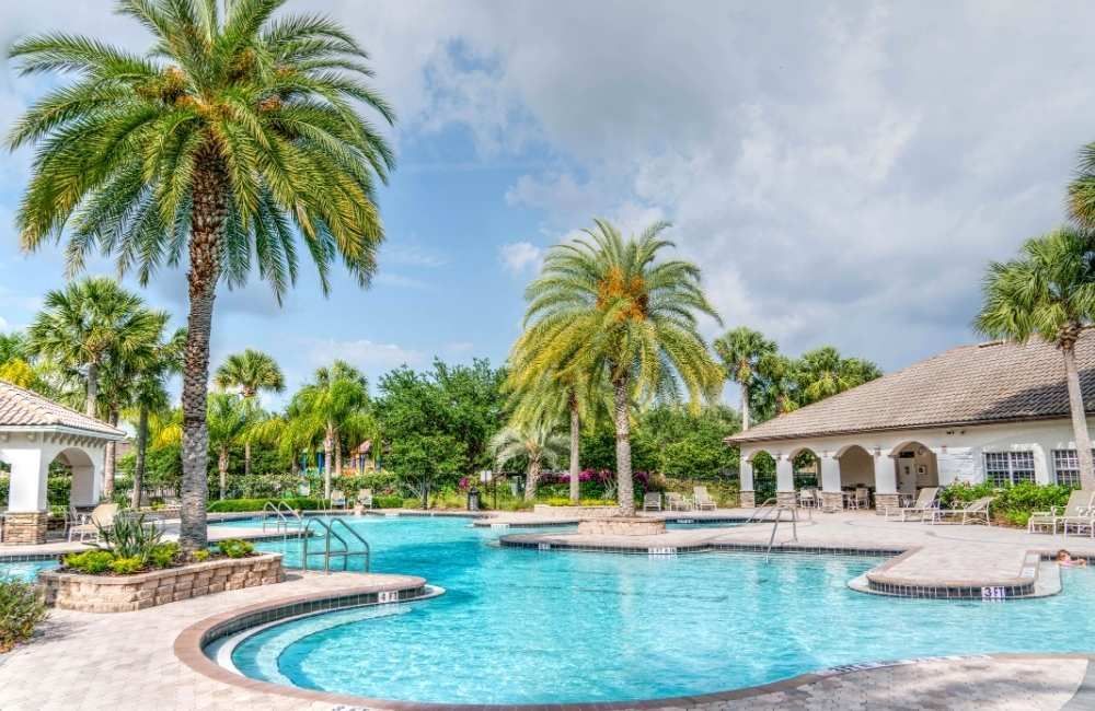 Backyard with palm trees and swimming pool