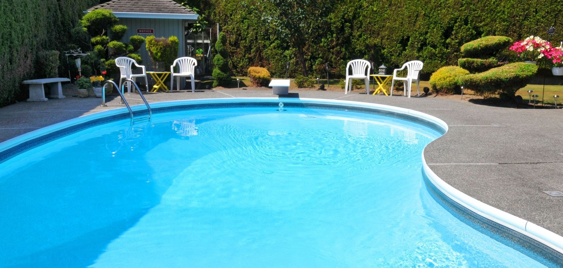 backyard pool