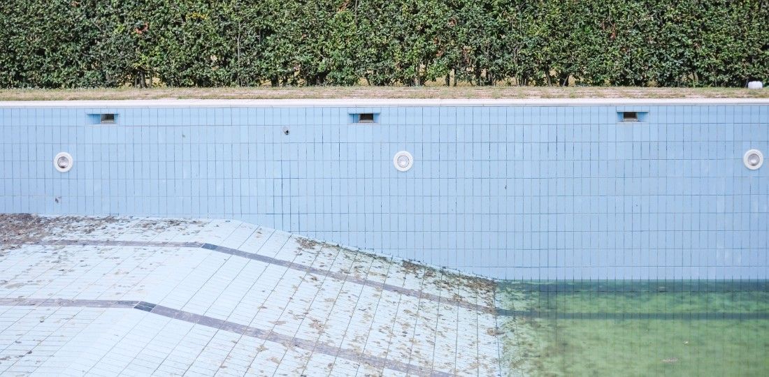 pool with green water